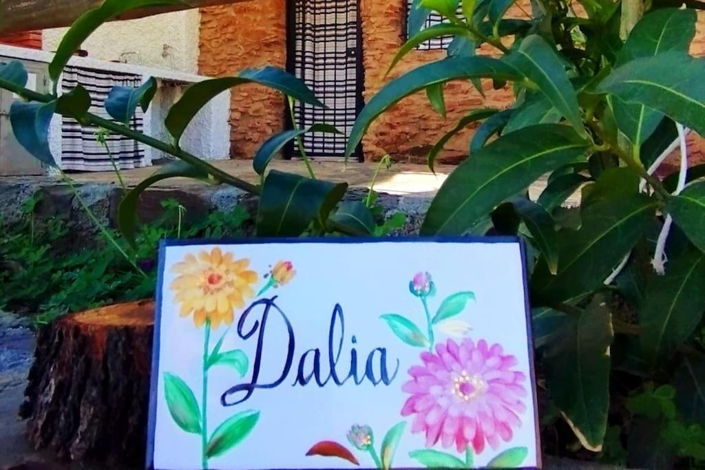 Paraje La Suerte Apartamento Dalia Adra Extérieur photo